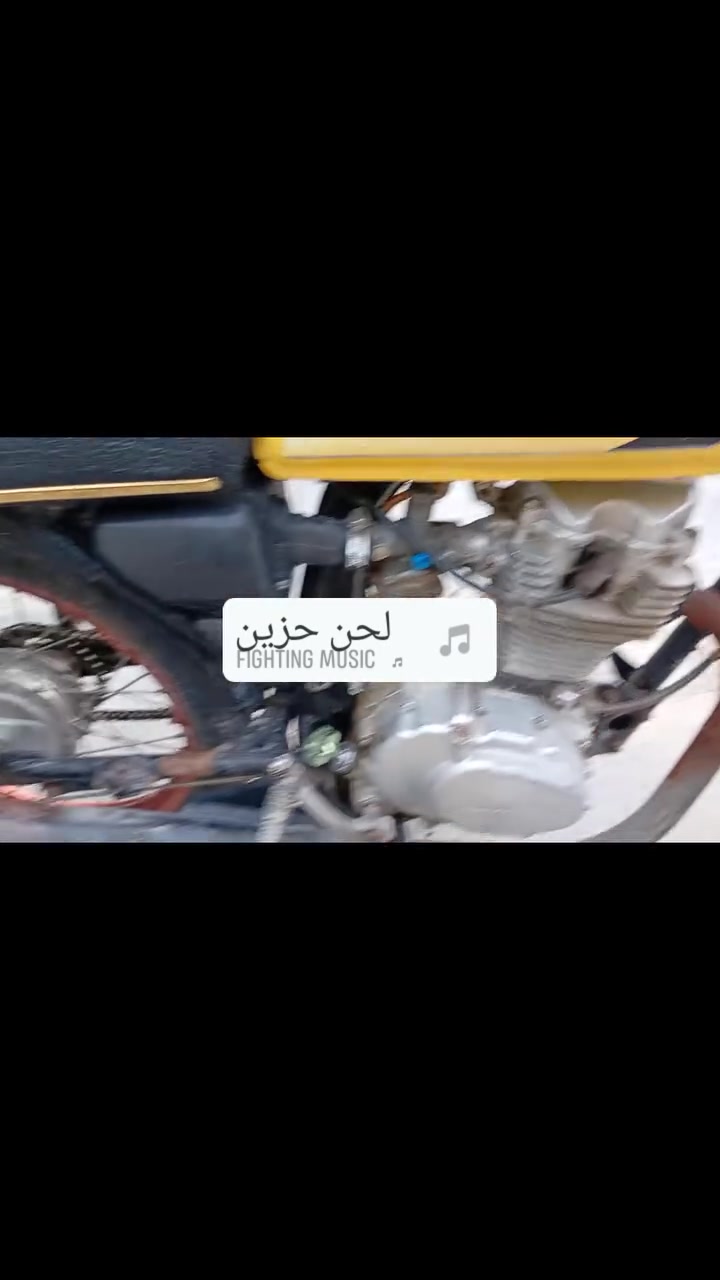 نظيفه • بدون أوراق • ستوته