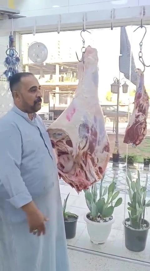 بسم الله الرحمن الرحيم يالله
ليوم الاثنين 21/9/2026 يعلن مطعم الماجد و قصابه الماجد عن بيع الحم عجل عراقي 
شرفونا وگل الهلا بيكم 
عنوان المسيب حي المعلمين مجاور اسواق الباشا   
***********

