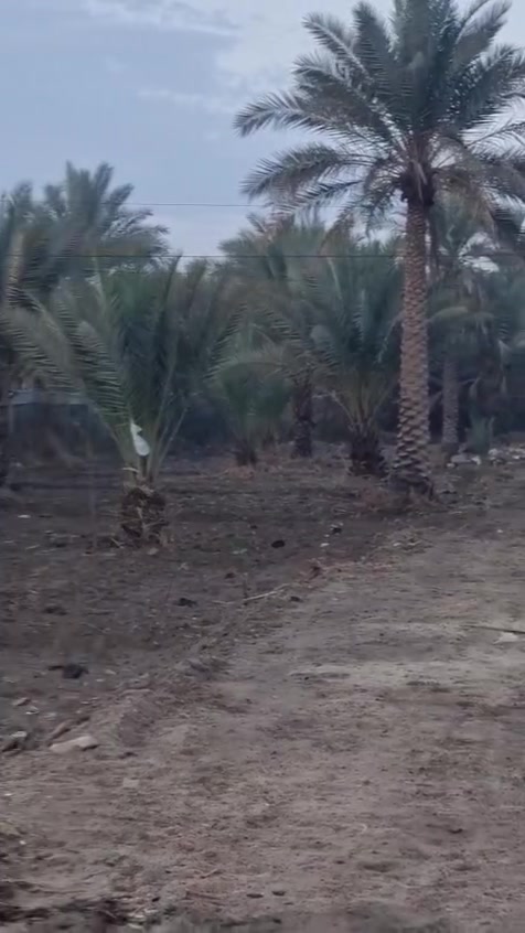 اعلان رقم 2577
بسعر مناسب ٨٠ مليون فقط وقابل للتفاوض! 
المساحه ١٤٠٠متر صالحه للسكن او للترفيه والزراعه #للبيع 
نوع العقار طابو سند ٢٥ تحويل بأسم المشتري 
العنوان مدينة كربلاء منطقة العسافيات 
باقي التفاصيل زيارة المكتب 📍 
كربلاء طريق السيده زينب ع قرب عمود ١٣١
او الاتصال 📞
ابو علي ***********
ابو علي ***********
