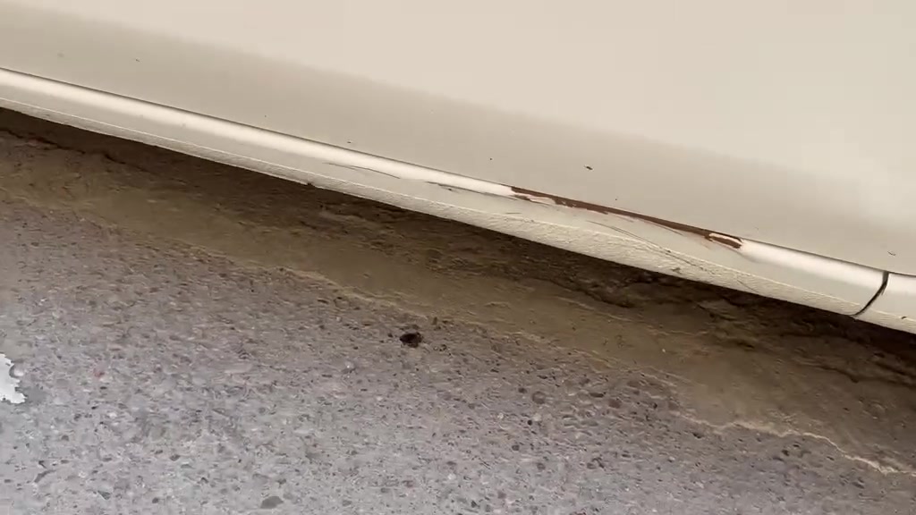 نيسان صني • ٢٠٢٥ • ٦٥٠٠٠ كم
