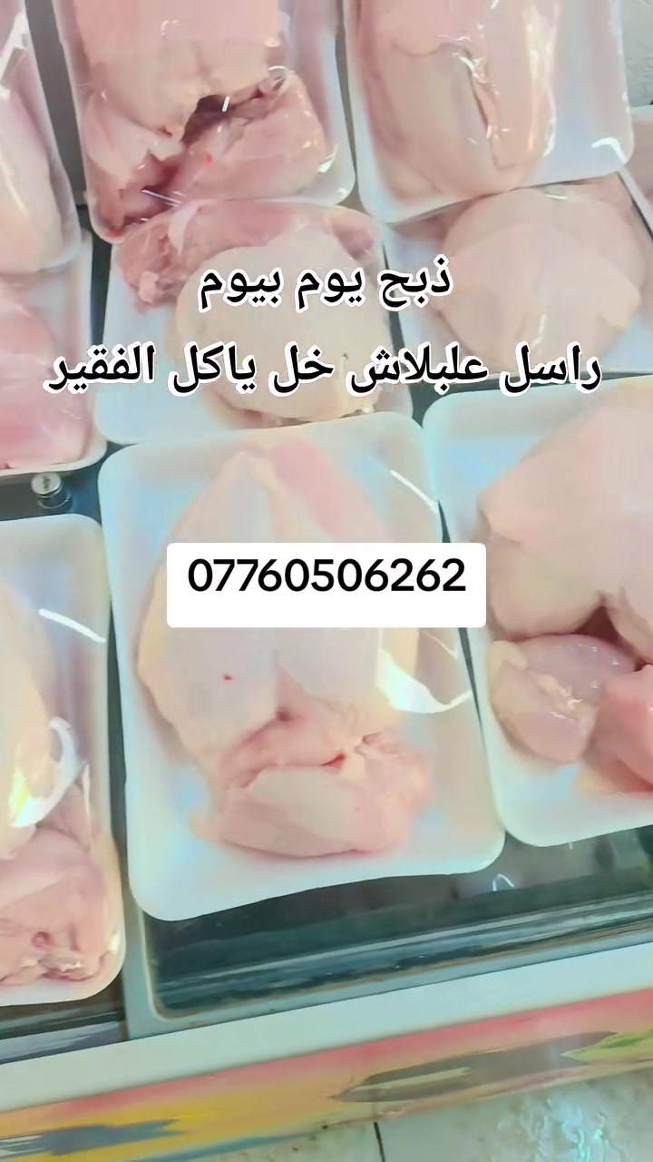 ذبح يومي • صدر • توصيل