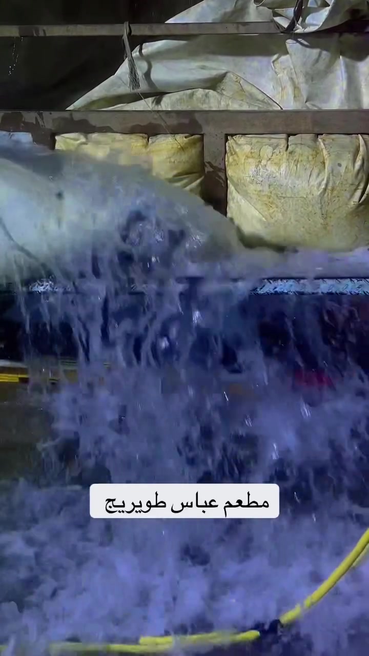 كما وعدناكم  
مطعم عباس طويريج 
غدا يوم الجمعه 
الكيلو سمك 4500 
صينيه قوزي سمك 13 الف 
تمن ومقبلات ومرق وخبز 
للحجز 
*********** 
توصيل موجود داخل وخارج طويريج
