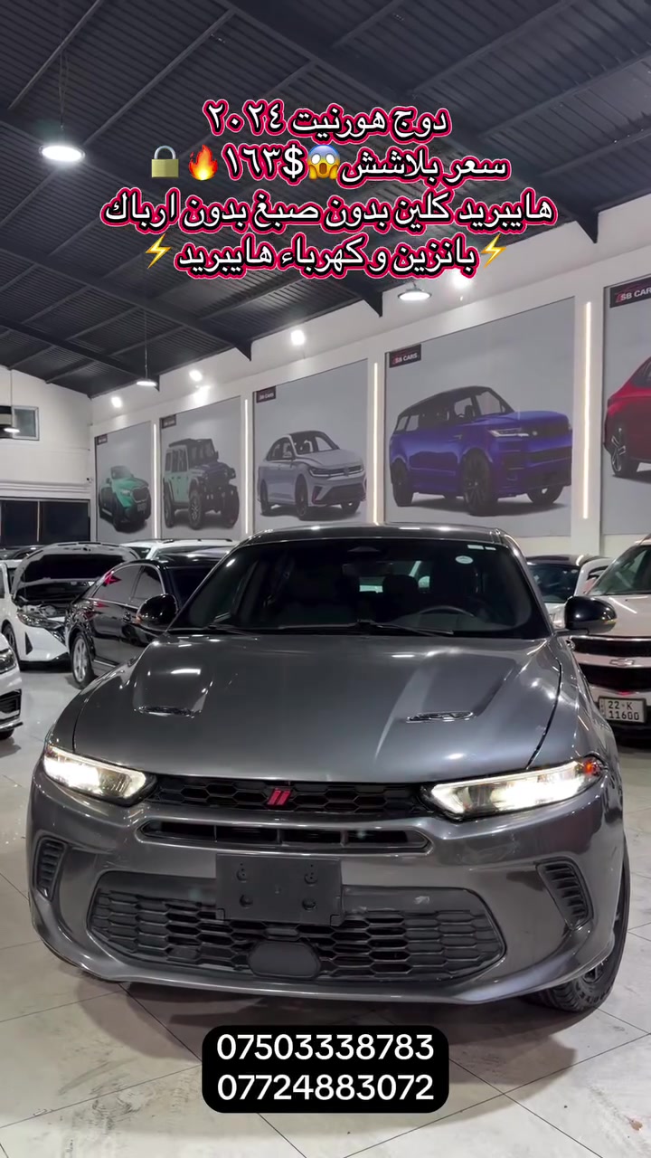 لا توجد تفاصيل
