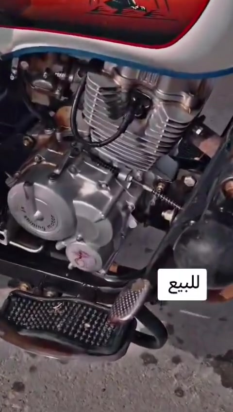 ستوته • موديل ٢٣ • متاح