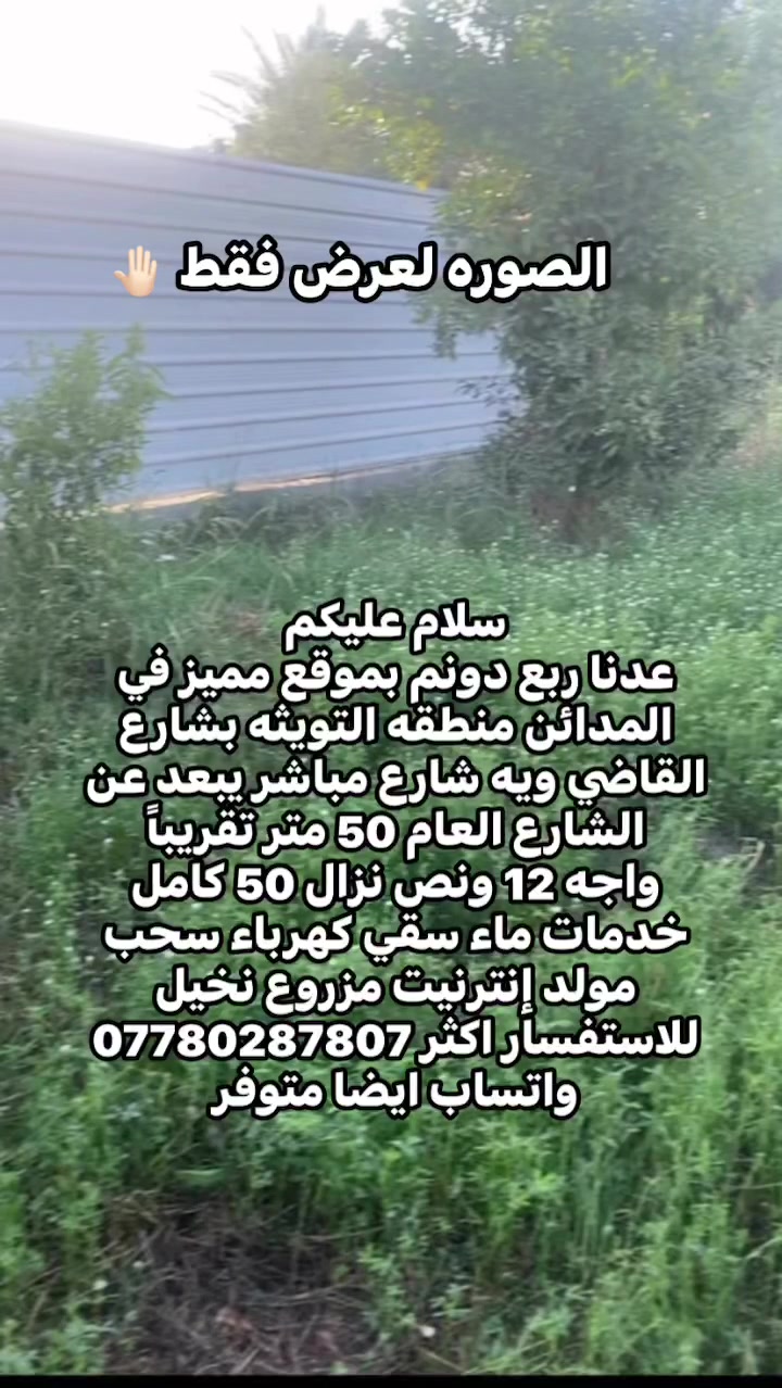 المدائن التويثه • ٦٢٥م • مزروع نخيل