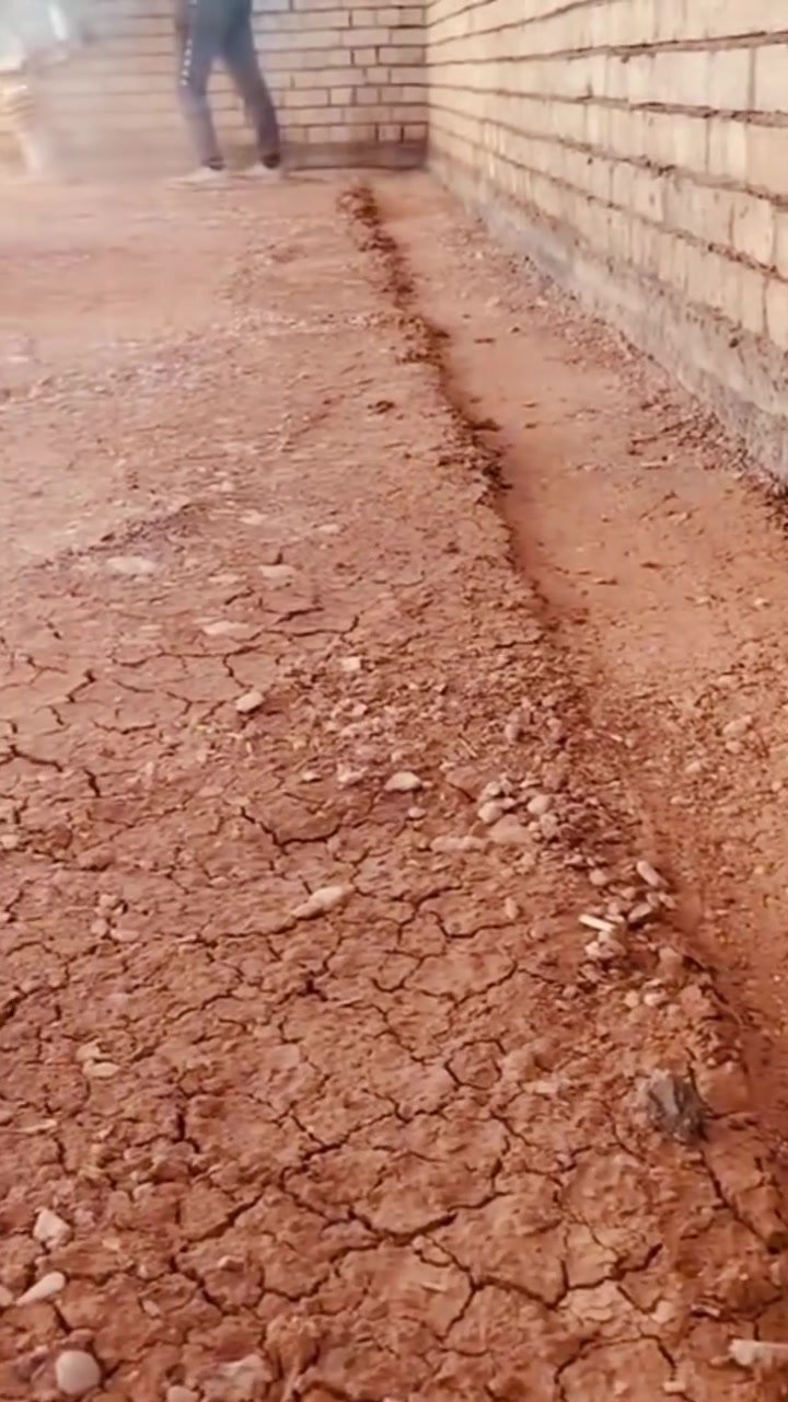فرش سبيس • حدل • قفاز كنغر