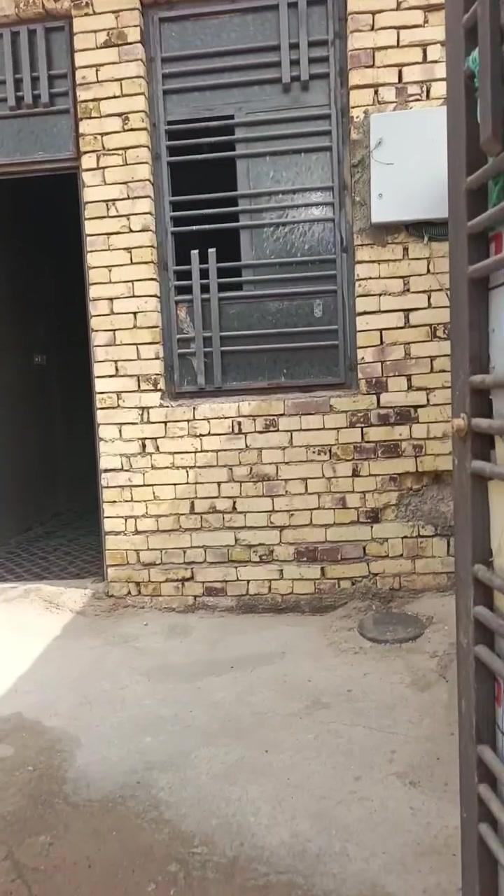 بنزلة سيد جابر • بيت للايجار • غرفه ومطبخ