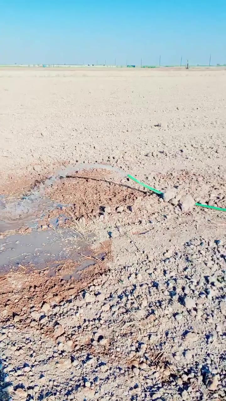 سلام عليكم يوجد قطع و دوانم للبيع طابو زراعي سند 25 يتوفر ماء وكهرباء شارع 10 متر خان بني سعد قريت السيح خلف معمل الغاز والاتصال ع الرقم ***********
