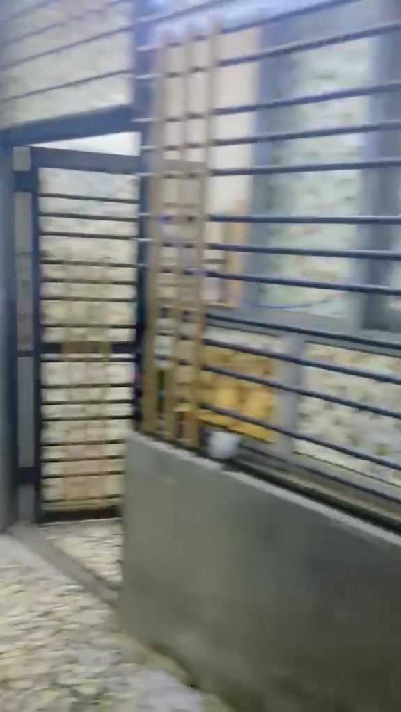 بيت رهن بل روضتين 100متر  سعر رهن 45
***********

