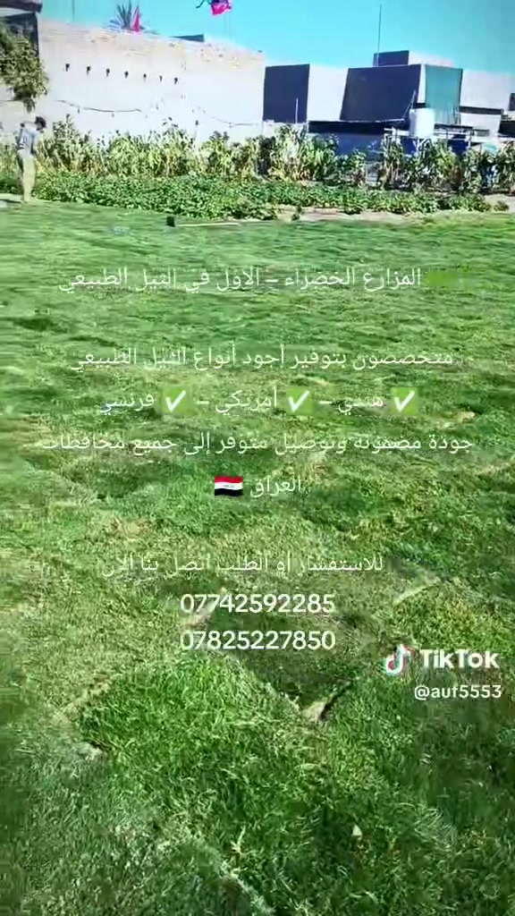 ثيل طبيعي • هندي أمريكي فرنسي • توصيل لجميع المحافظات