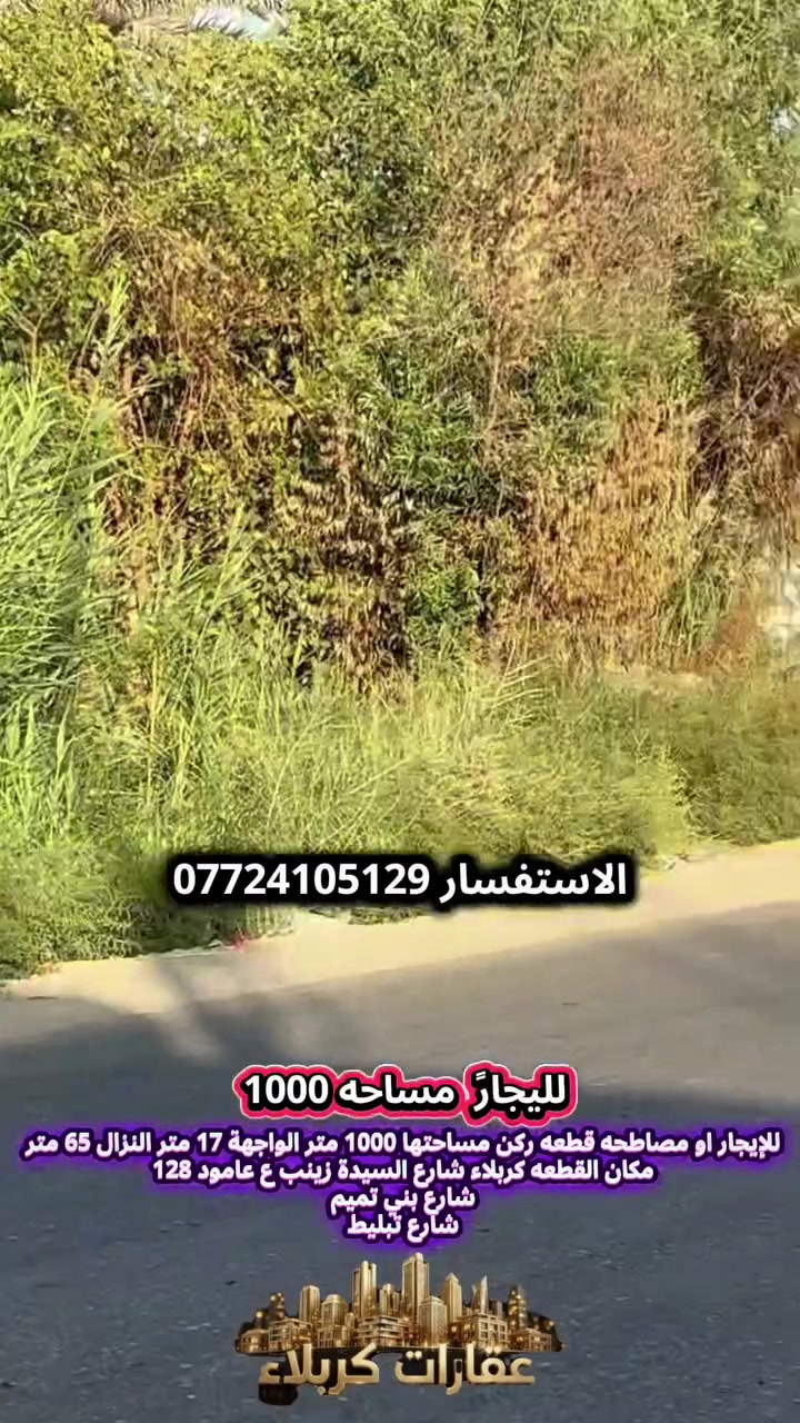 كربلاء • ١٠٠٠م • مقابل جامعة كربلاء