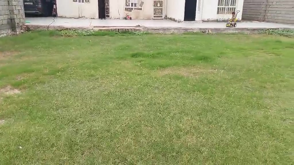منطقة السجاد • ٩٠٠م • غرفتين