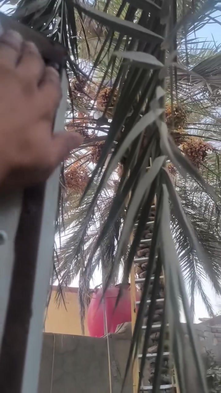 جديد • قفل هيكل • بابل الحلة