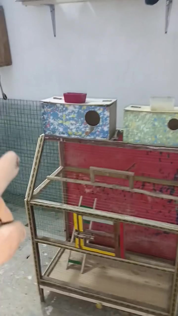 عرض خاص • كربلاء • كلشي بالفيديو
