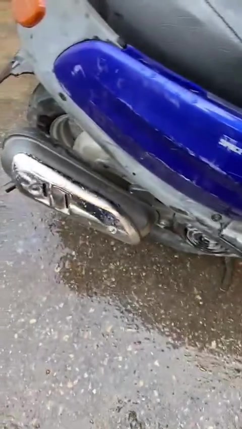 منغولي للبيع نضيفه كلش  
راعيها ***********
