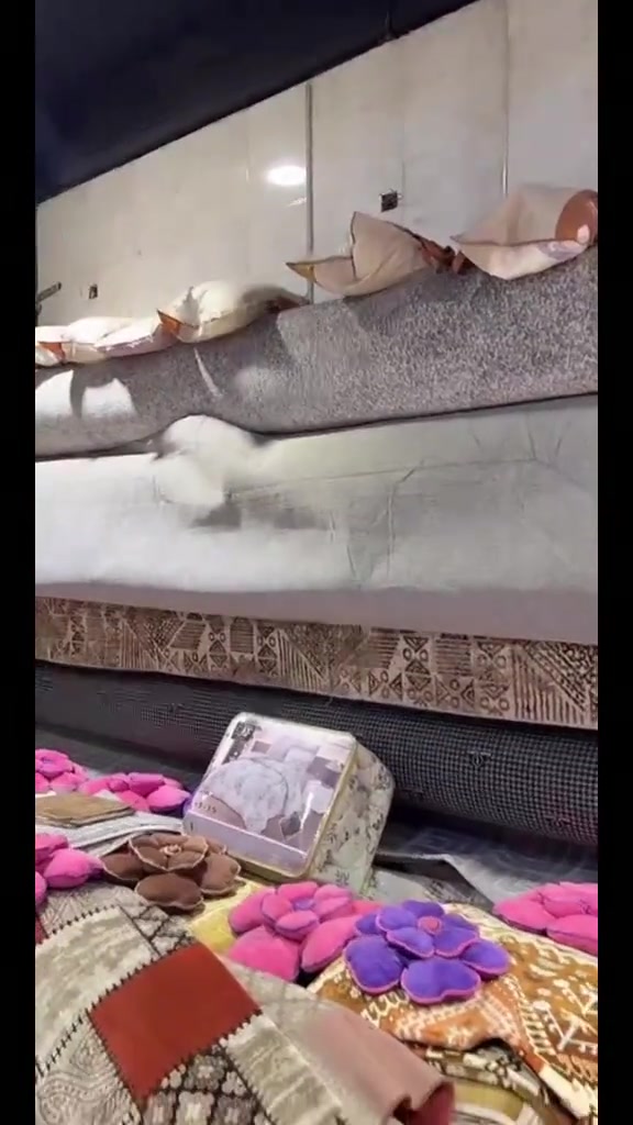 #tiktoklive #livehighlights 
