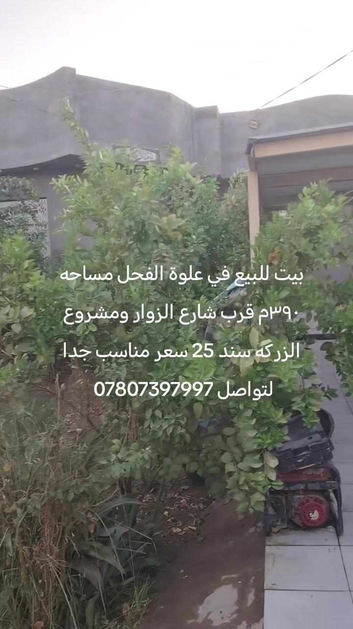 بيت للبيع في علوة الفحل قرب مشروع ماء الزركه مساحه ٣٩٠م بناء درجة اولى سند 25 سعر مناسب لتواصل ***********
