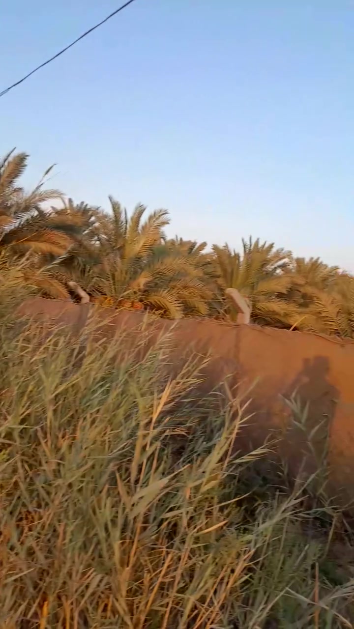 بستان البيع زراعي المساحه دونم وربع بي 80 نخله المكان اسديناويه يم مدرسه التعاون على شارع التبليط الشراي يتصل على الرقم ***********
