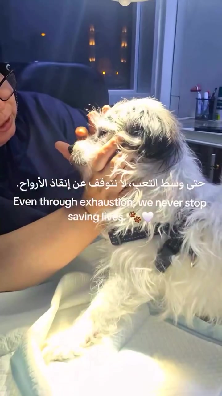 عيادة شوكا وروزة • حي القادسية • طبيب بيطري