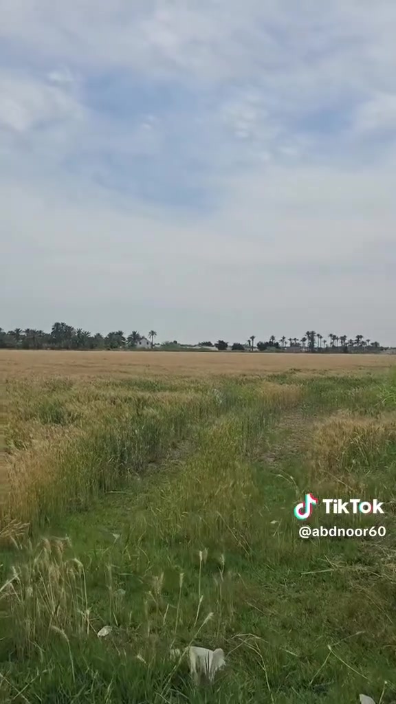 ارض للبيع مساحته 40 دونم في واسط الكوت ع طريق كوت شيخ سعد بيه ماء كهرباء مدارس ابتدائية ومتوسطة ثانويه قريبه ع دجله الاتصال واتساب *********** ***********
