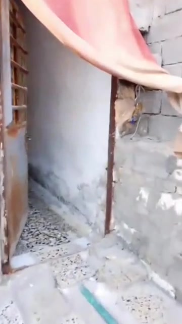 سلام عليكم بيت للبيع مكان.. حي دجله بشارع ماعرض مجوهرات مال حي النصر... البيت سندويش...  البيت كامل بس عوزه ترميم خارج وبسيط.... البيت يعتوي على ماي خطين  وكهرباء خط وبي خط مال انترنيت... مستعجل على بيعته سعر البيت 29 وبي مجال بسيط...   رقم الهاتف *********** بي وتساب بس وبل  فيس متواجد هم.