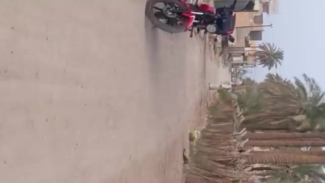 الحولي • زراعي • ١٥٠م