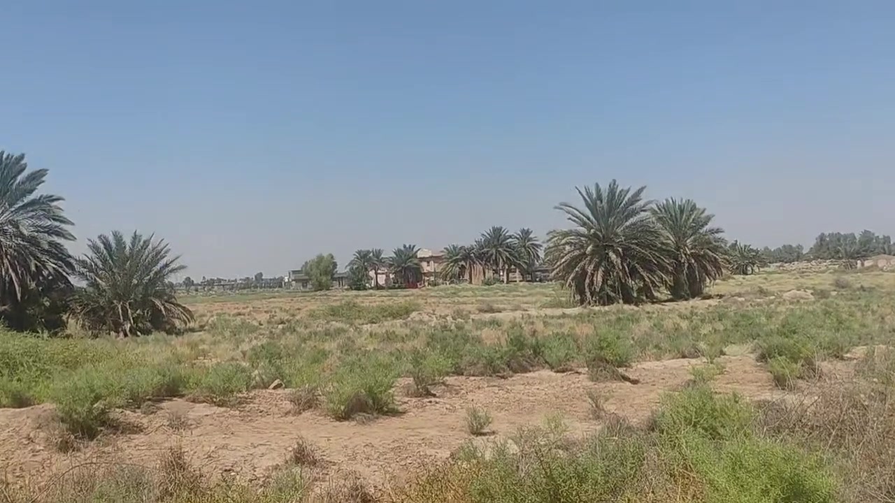 سلام عليكم ورحمة الله
10 دونم الواجهه 156 إنزال 129جنس الرض طابو زراعي سند  25 الك حق اتصرف 
تحتوي على بيوت ثنين وخمس محلات ومي سقي واساله وكهرباء وعلئ شارع ريسي ترهم مخازن أو معامل او مستشفئ امانت الله كاع تخبل المكان غريب علئ خط السريع الرضوانية وغريب على جسر القطاع تفاصيل أكثر الاتصال على الرقم ***********
*********** بيهن واتساب سعر ادونم 150 وبي مجال
