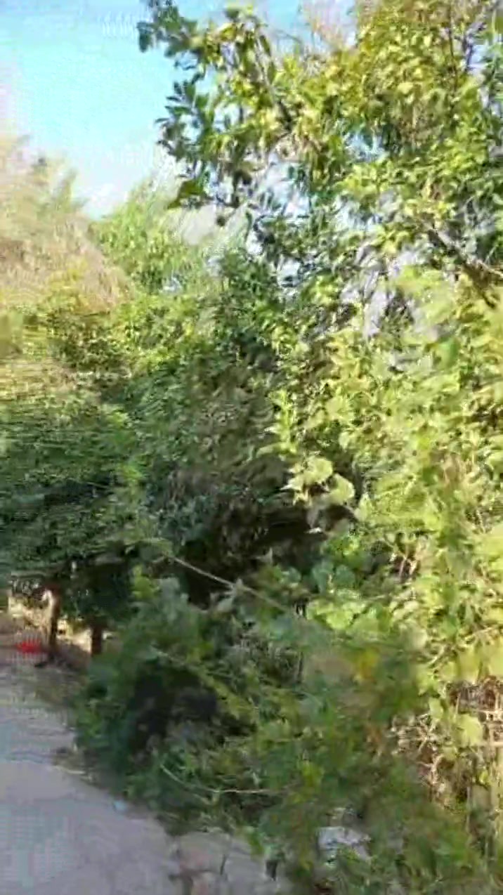 أرض زراعي • دونم • ٤ بيوت