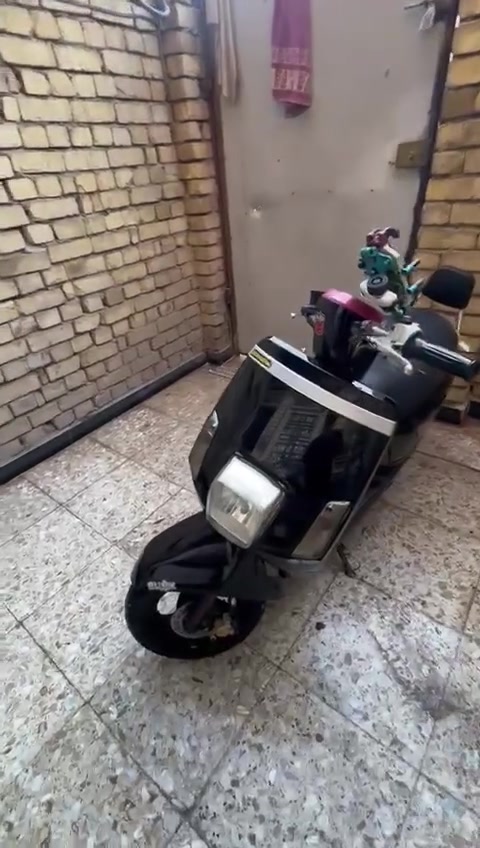 سلام عليكم بواليس مصطرة الدرجة بلادي شلعة معدل كهربايات كلة شغلة مكينة ناعمة الا صرف والا تبخير والا تنقيص جيب فيتر وتعال افحص مكفوالة دهن امزويل بانزين محسن الدرجة نقص بس ستان تعليك كفر بلادي مكاني البلديات السعر 700وبية مجال الطيبين الرقم الهاتف ***********
