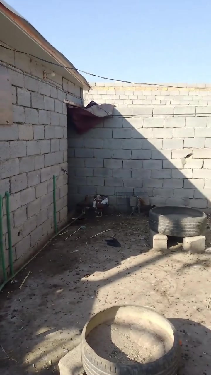 سلام عليكم بيت للبيع مساحه 180غرف 2صاله 4+6مطبخ 3+4حماملت 2بس ديوانية ماكامله مع قطعه مساحه 150مسيجه بيه غرفه وصحيات ركن على شارعين بكاع راجي ب شارع رئيسي مقابيل مدرسه مال ال حامي ال شمال ماي كهرباء مع بيت تريد البيت هم للبيع ***********
