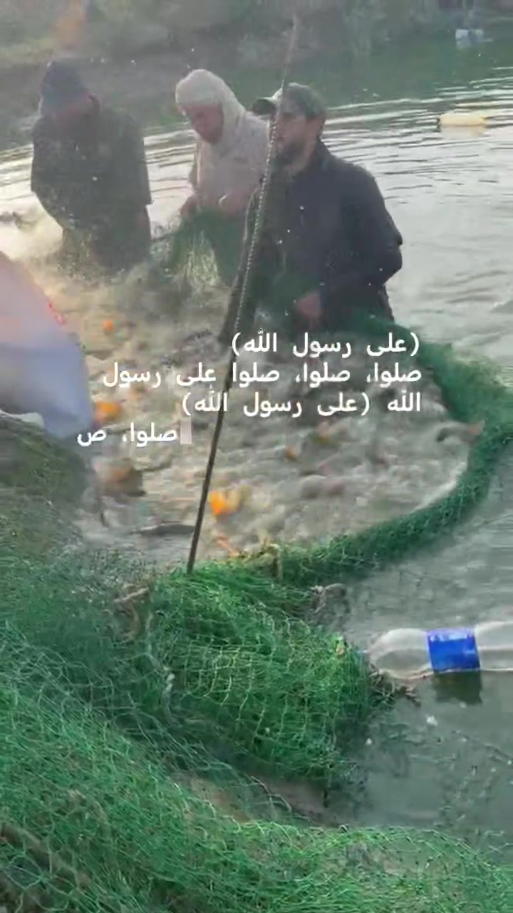 أسماك عوينات • تواصيل تكريت • كل الأوزان