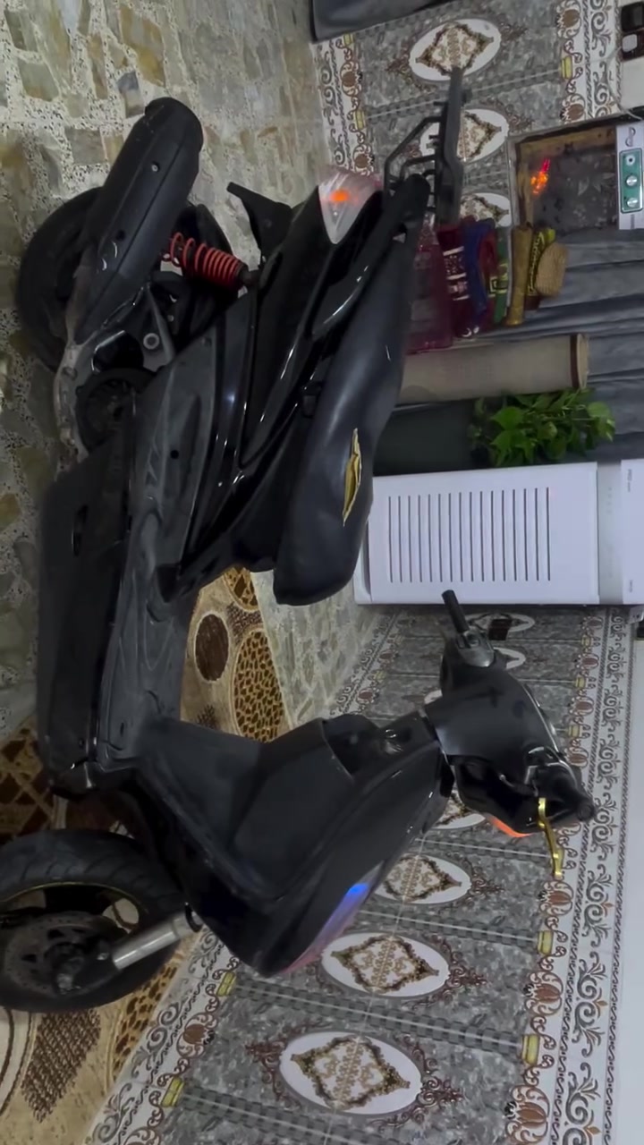 سكنس فحل • نكره سلف • مكفوله