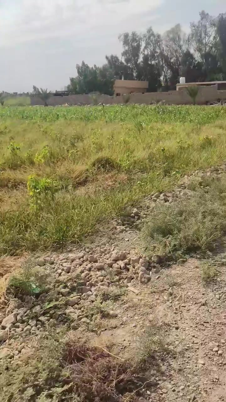 جرف نداف • ٢٧٥٠م • سند