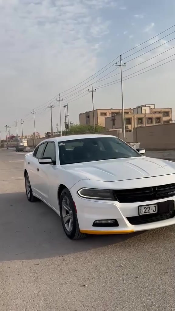 تشارجر SXT • ٢٠١٩ • ابيض اربيل