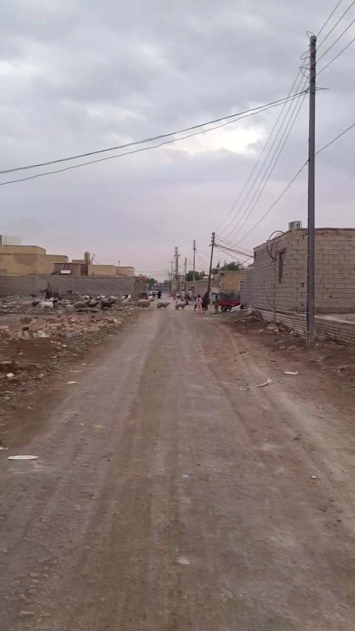 أرض • بدون تفاصيل • موقع غير مذكور