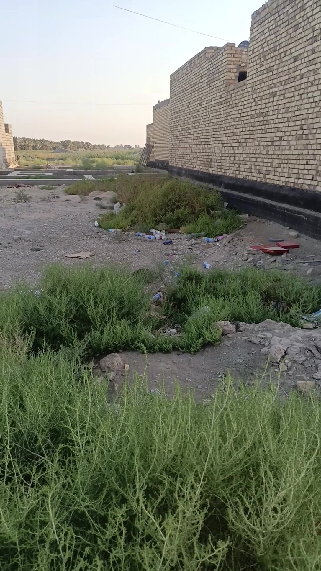 الشرع • قطعة زراعي • ١٧٥م