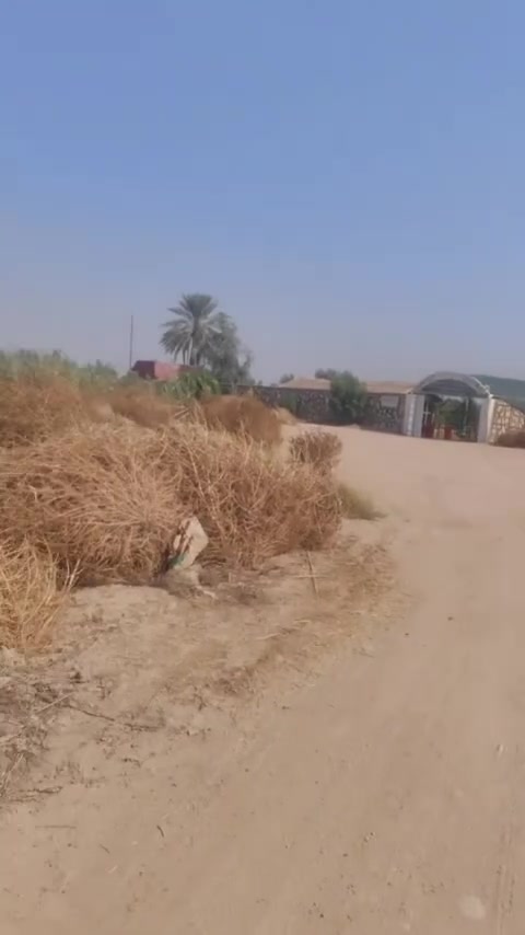 دونم • سند ٢٥ • شارع القناة