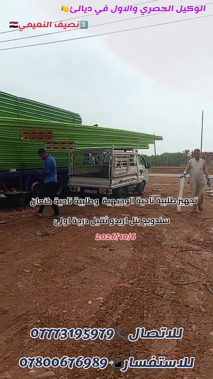 سندويج بنل كينك • درجة أولى • ديالى/كنعان