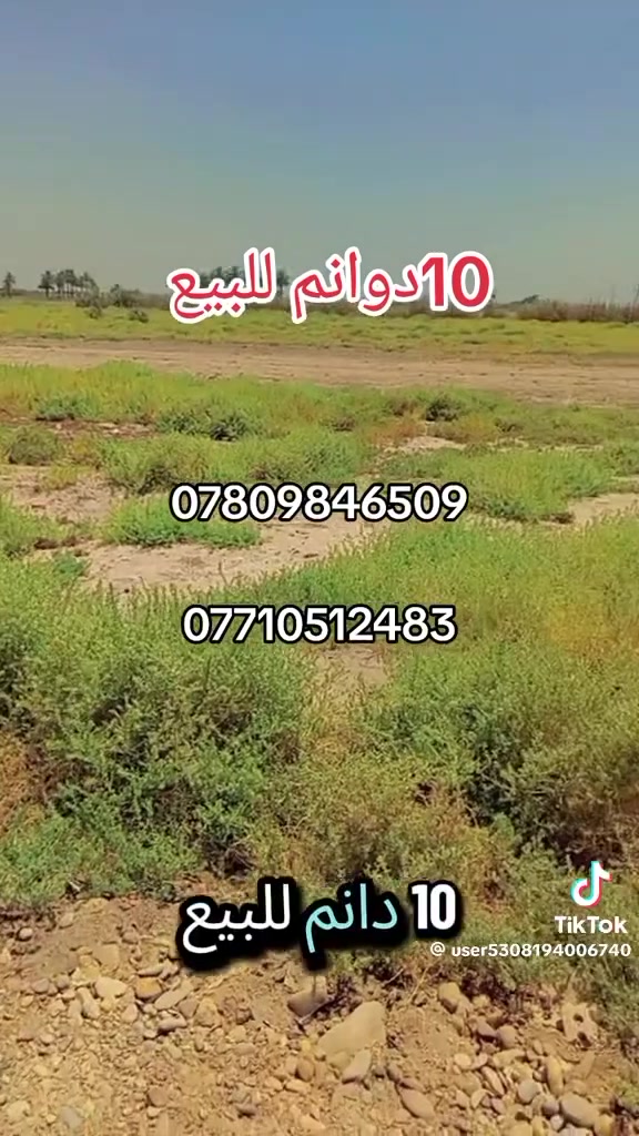 10دوانم للبيع حسب الطلب العنوان بغداد جرف النداف مقابل الشركه العامه للسيارات للإستفسار *********** ***********
