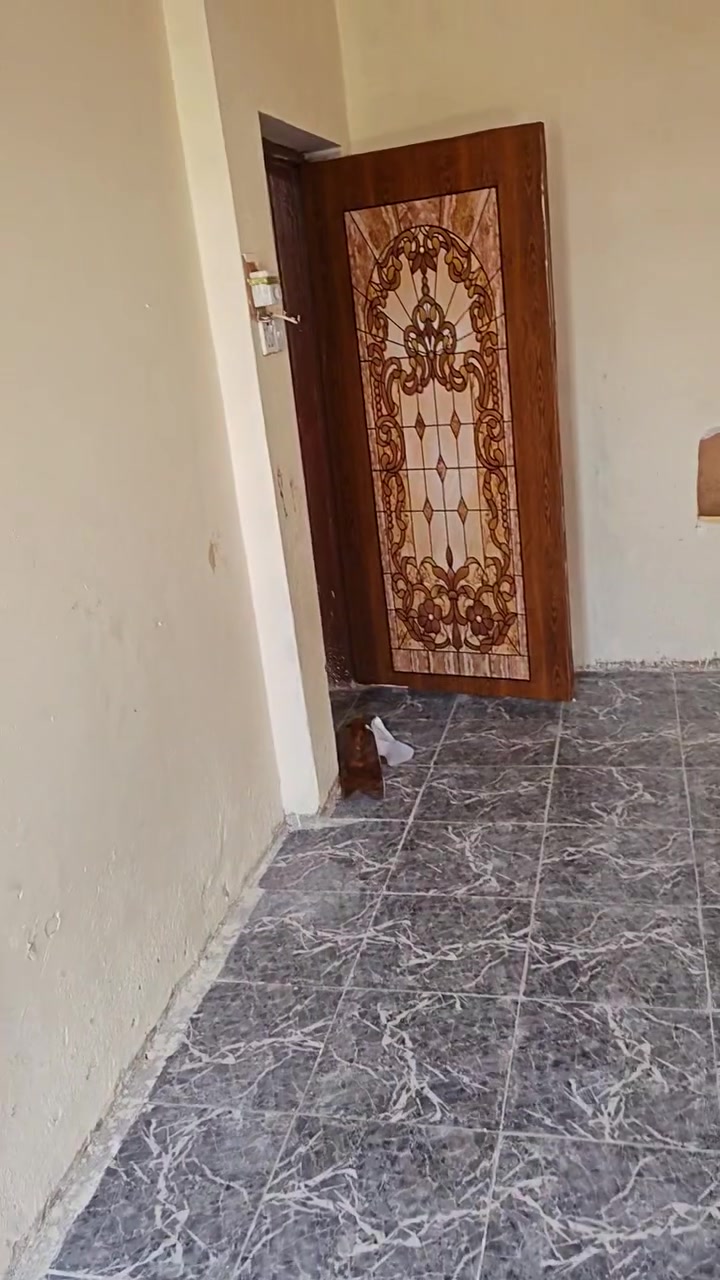 شقه لليجار حي اور قرب حسينية المصطفى
استفسار ***********
