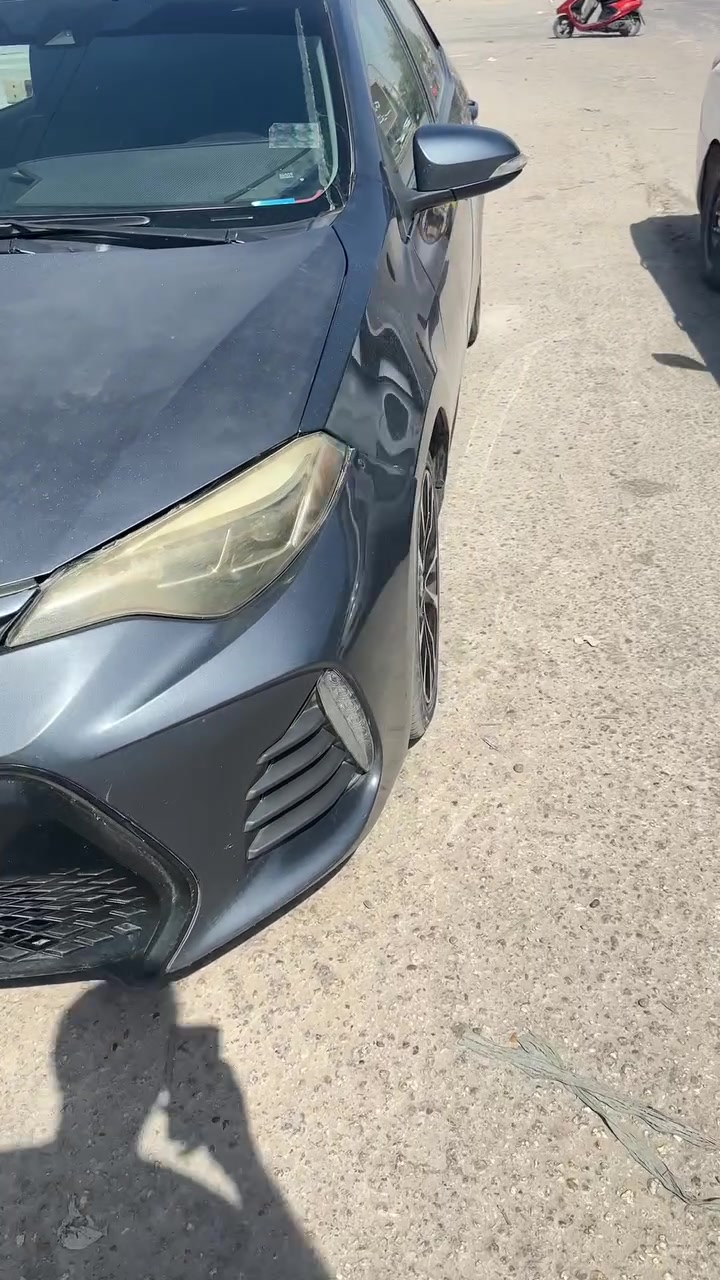 كورولا • ٢٠١٩ • رقم بابل