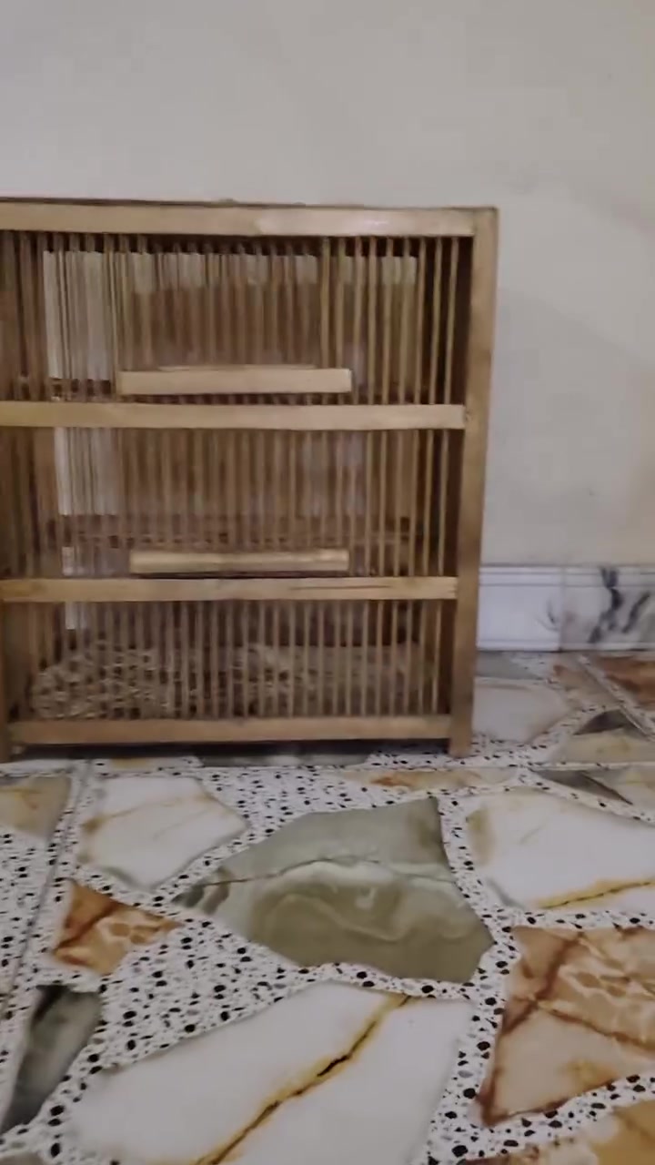متاح قفص خشب درجه اوله حيل نضيف سعره ١٥ نهايته مكان تكريت رقمي ***********
