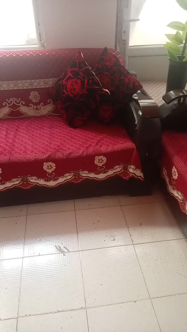 تخم البيع جلد صلي مابي اي عيب نضيف حيل قرفت خشب تركي جديده مامستعمله هيا دوشكها كلهن ٣٥٠ بيهن مجال تواصل *********** كلو
