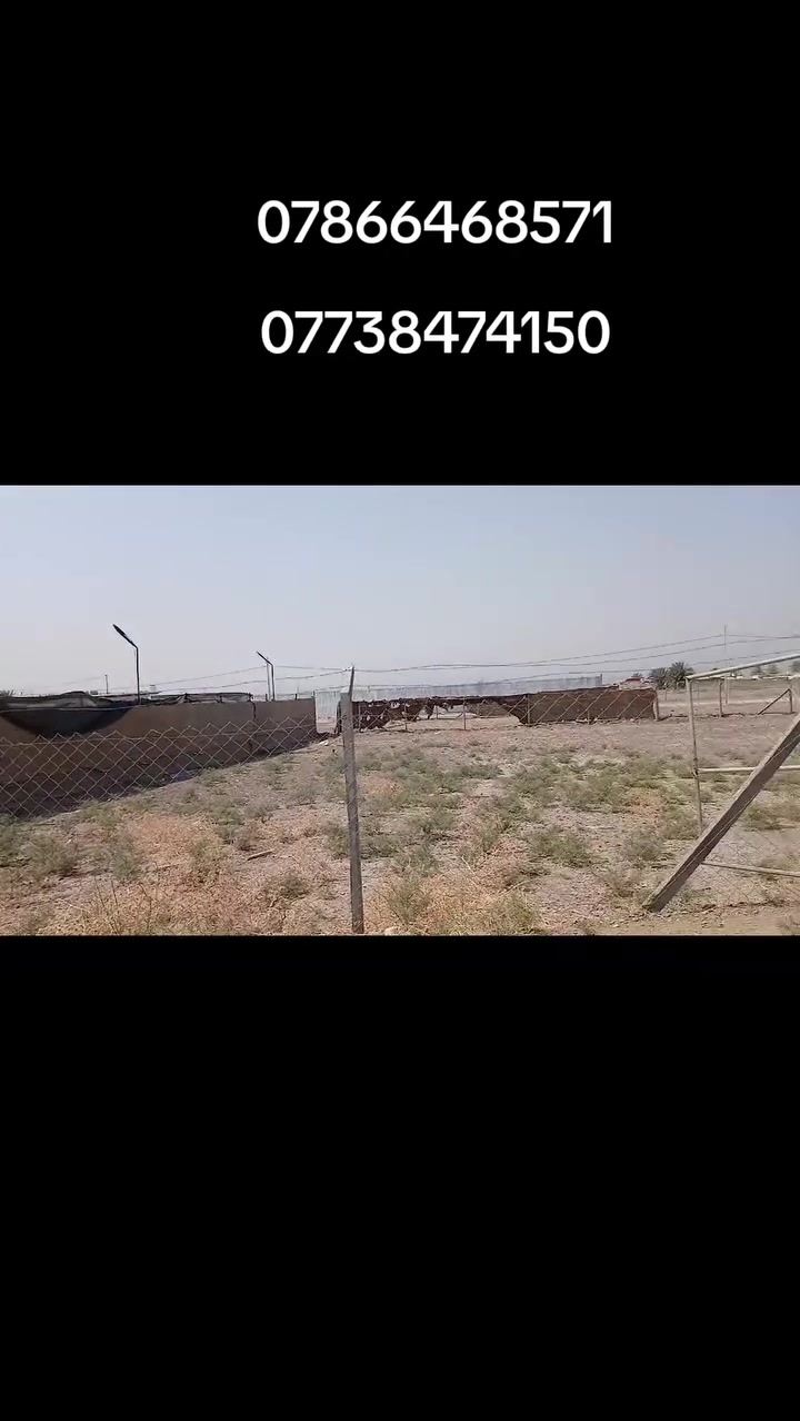 قرب شارع بزل • ١٠٠٠م • سند ٢٥