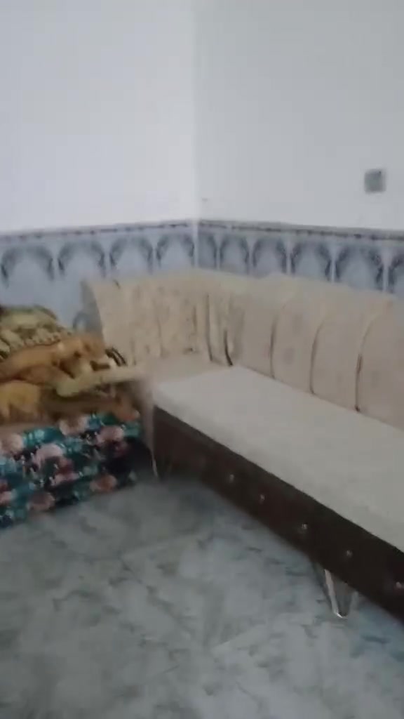للبيع ديوان حطاطه 20 مقعد نظيف جدا 550 مجال
فلوجه الحلابسه
