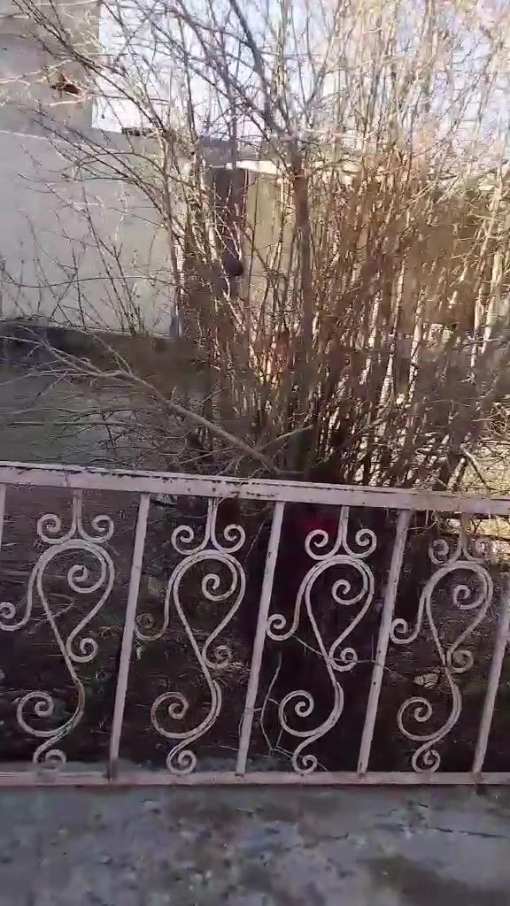 بيت لبيع
مساحا. 300 طابو صرف
بي غرفتين نوم واستقبال ومطبخ وصاله كبيره
مكان. قالبيا سييف سعد قرب شارع ٣٠
سعر 48 وبي مجال لطيبي
الرقم لستفسار***********
