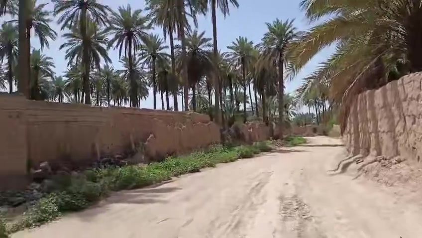 السلام عليكم خواني البيع بستان مسيج كامل تجي تفتح بية مشروع جاهز 3دوانم الله شاهد ماكو هيج سعر ابس يامي السعر كله مال3دوانم ب370كلهن بية  مجال شي قليل  دوانم قريب ع الراشدية راسلنا واتساب ادزلك الكيشن روح شوف البستان 
الرقم *********** ملاحضة هاي الفديهات واضحا بيهن بستان دخل شوف براحتك
