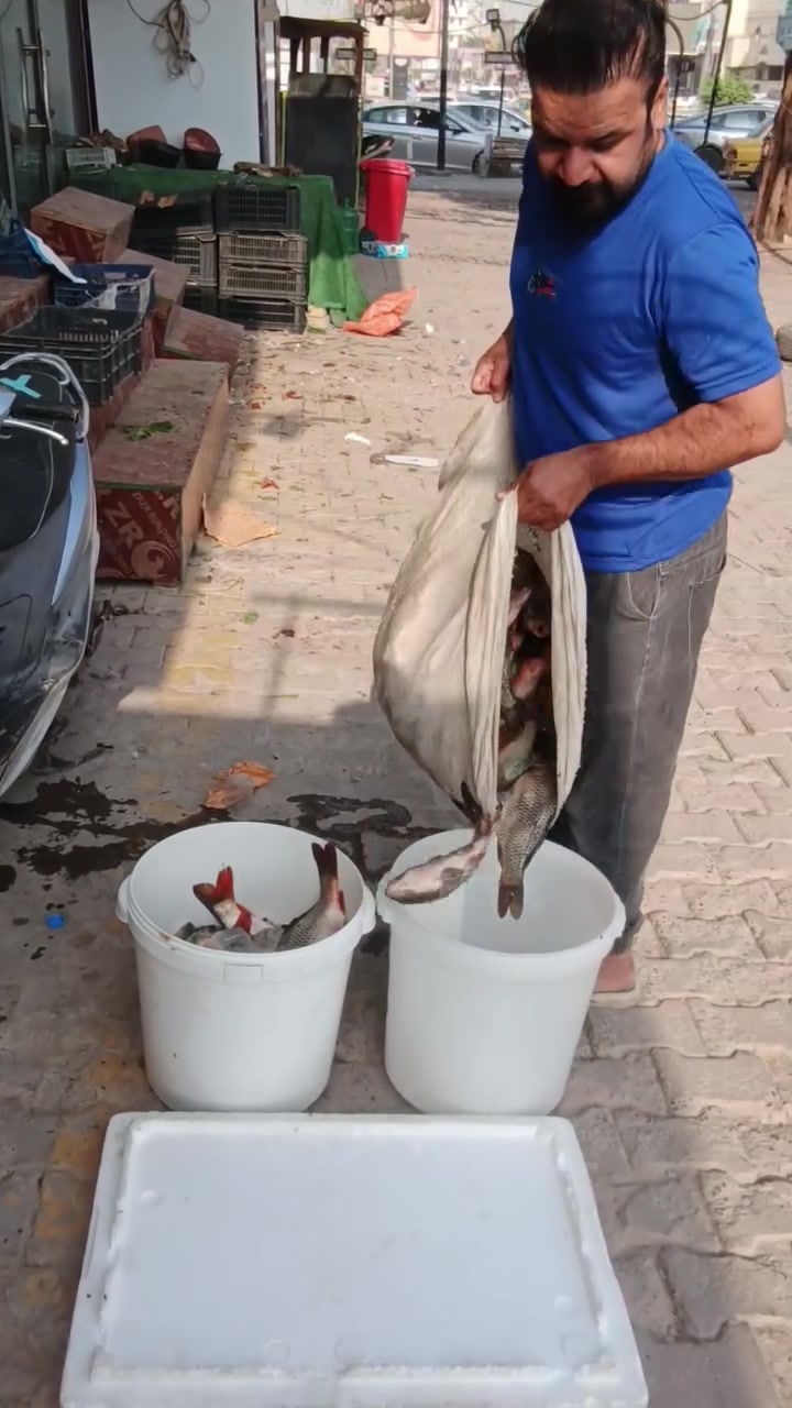 زبيدي • صيد اليوم • توصيل