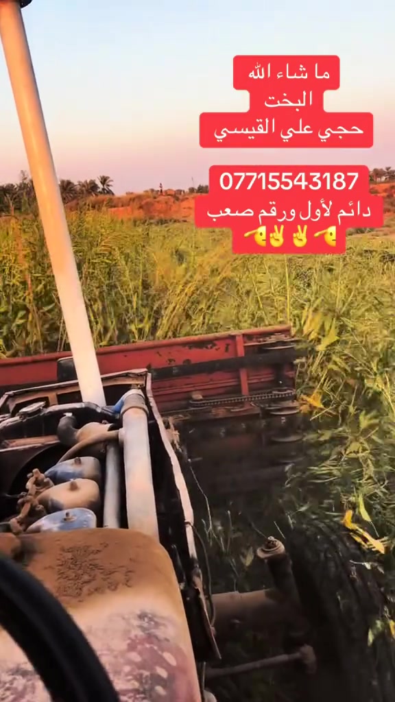 جاهزه للحصاد السمسم 
نحصد جميع المناطق 
***********
