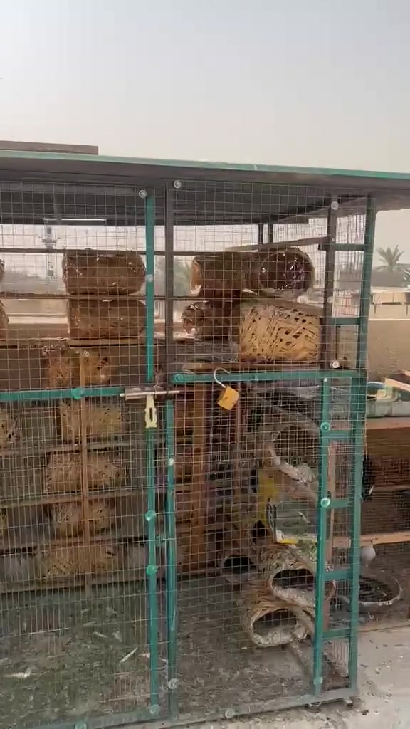 بغداد كمالية • برج • للبيع